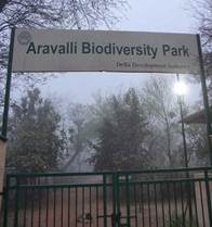 Visit to Aravalli Bio Diversity Park