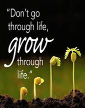 Go Through Life or Grow Through Life