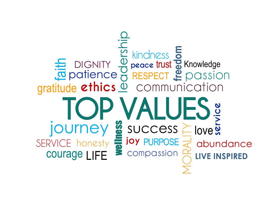 Values in Life