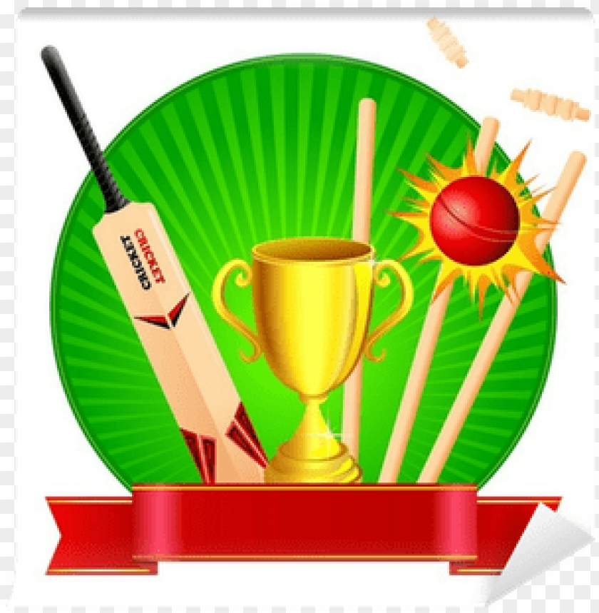 Inter House Cricket Competition (Classes III-V)