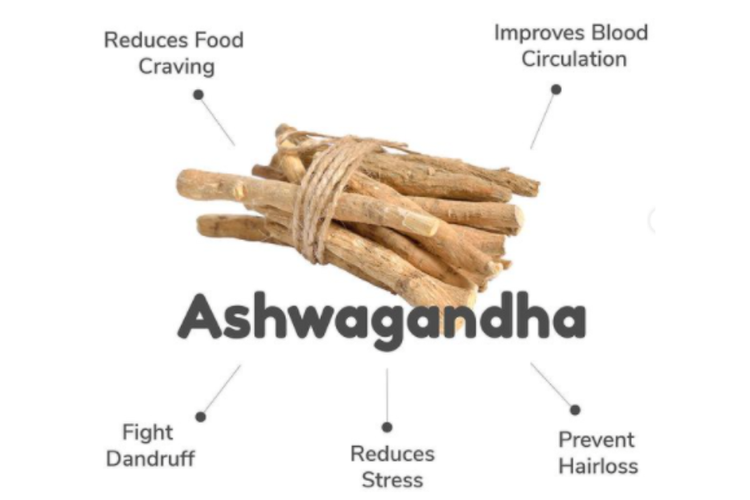 Seminar on ‘Ashwagandha – A Health Promoter’